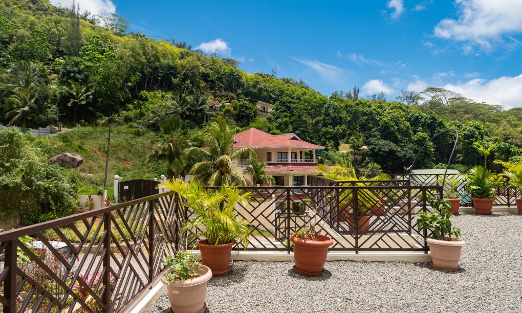 Bougainvillas Seychelles