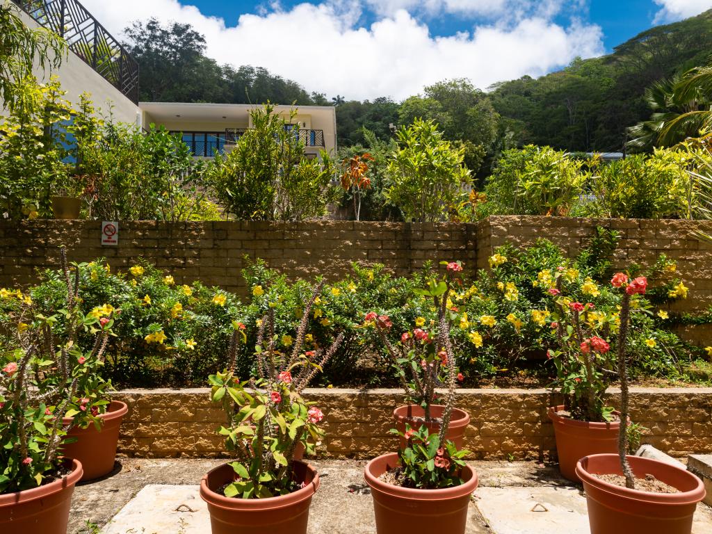 Bougainvillas Seychelles - Photo 4