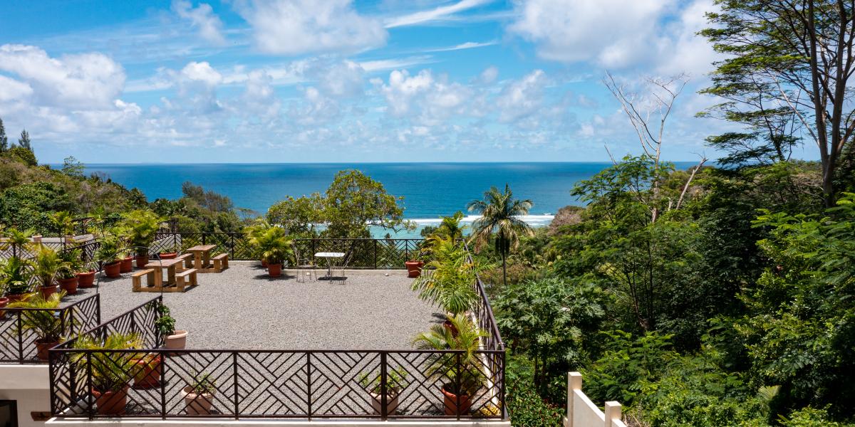 Bougainvillas Seychelles