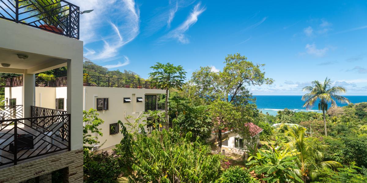 Bougainvillas Seychelles