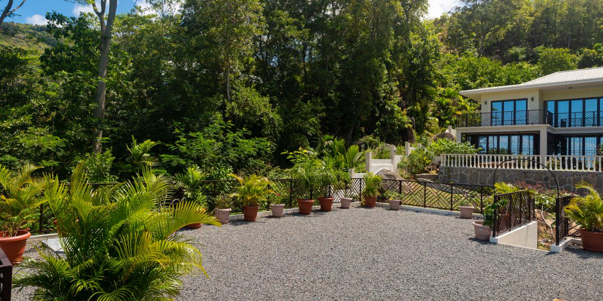 Bougainvillas Seychelles