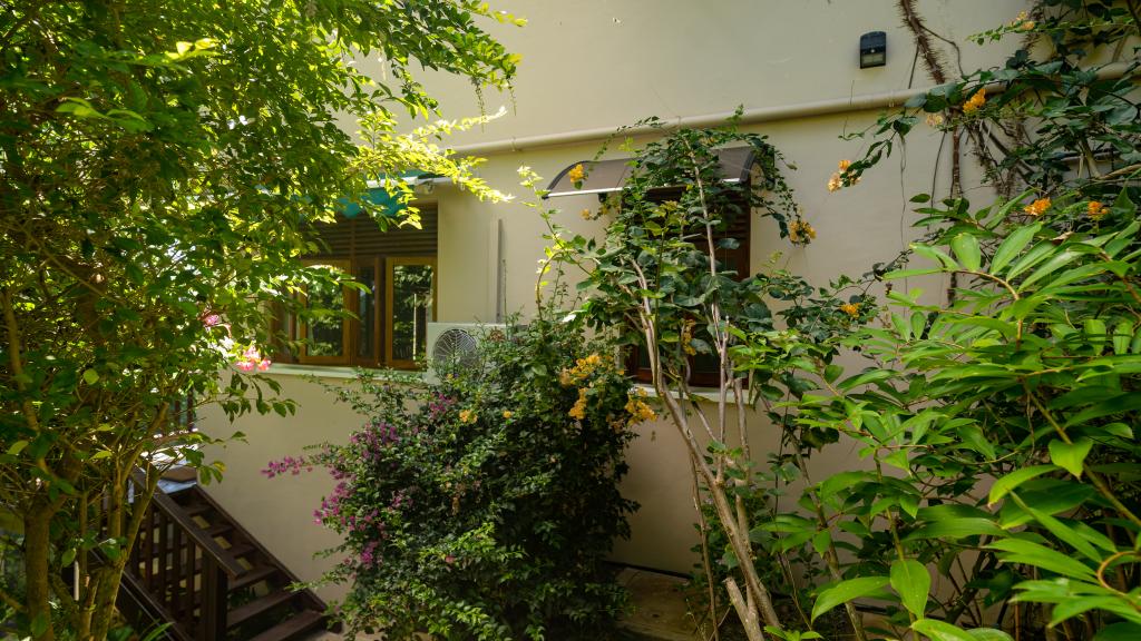 Foto 13: Fler Payanke - Mahé (Seychelles)