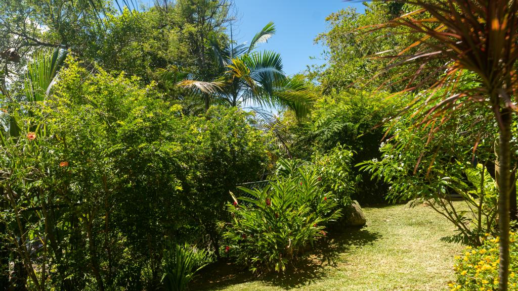 Foto 18: Fler Payanke - Mahé (Seychelles)