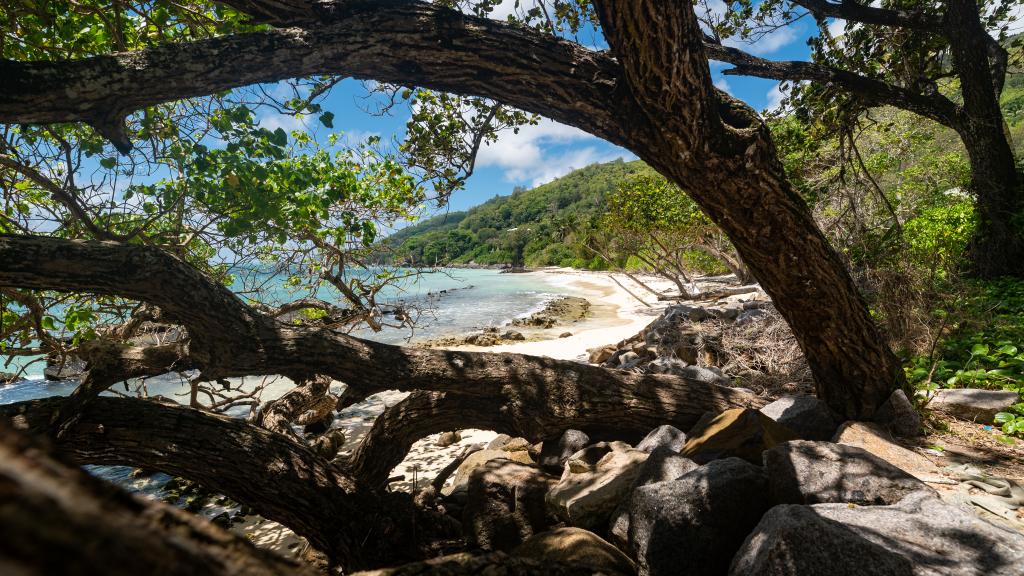 Foto 36: Fler Payanke - Mahé (Seychellen)