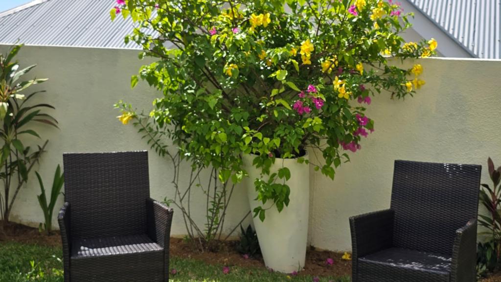 Photo 85: Emma's Guest House and Self-Catering - Mahé (Seychelles)