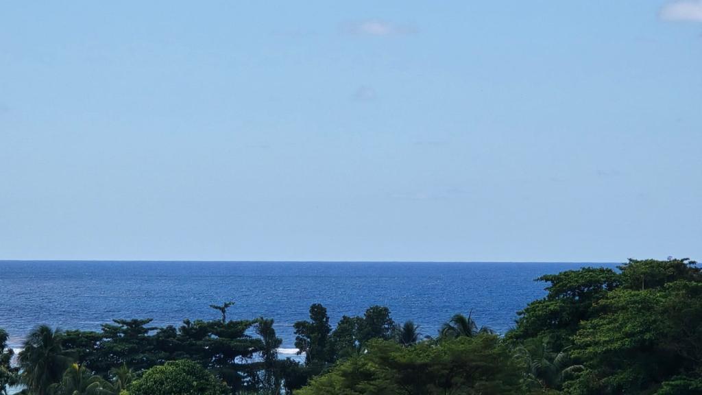 Photo 103: Emma's Guest House and Self-Catering - Mahé (Seychelles)