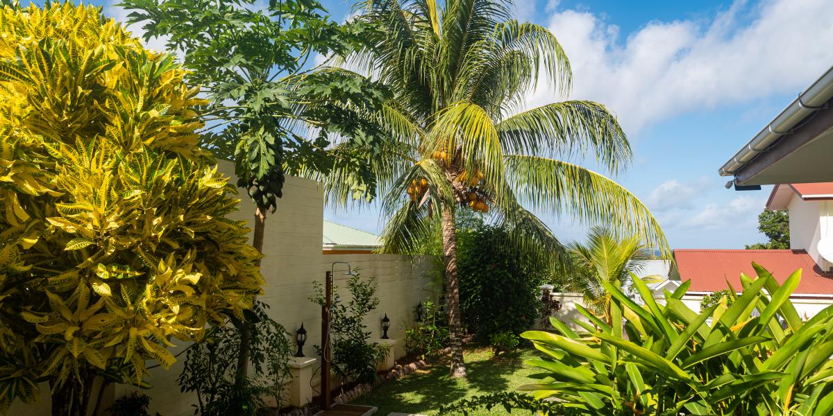 Emma's Guest House and Self-Catering