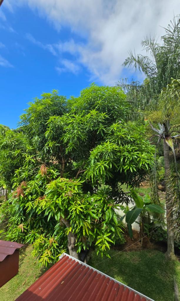 Emma's Guest House and Self-Catering