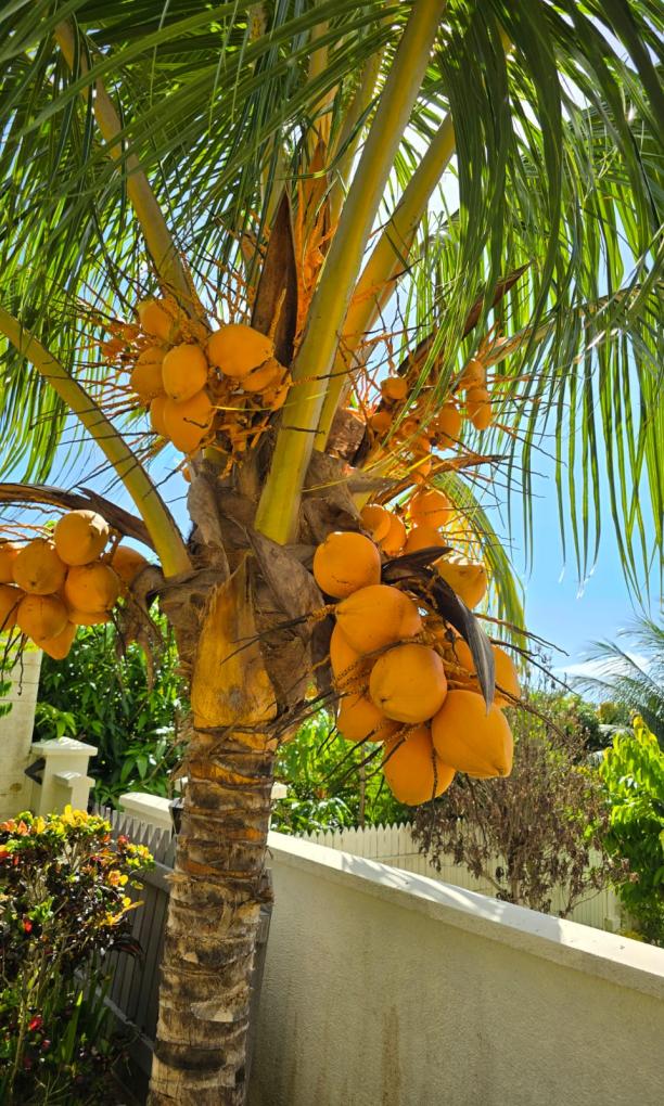 Emma's Guest House and Self-Catering