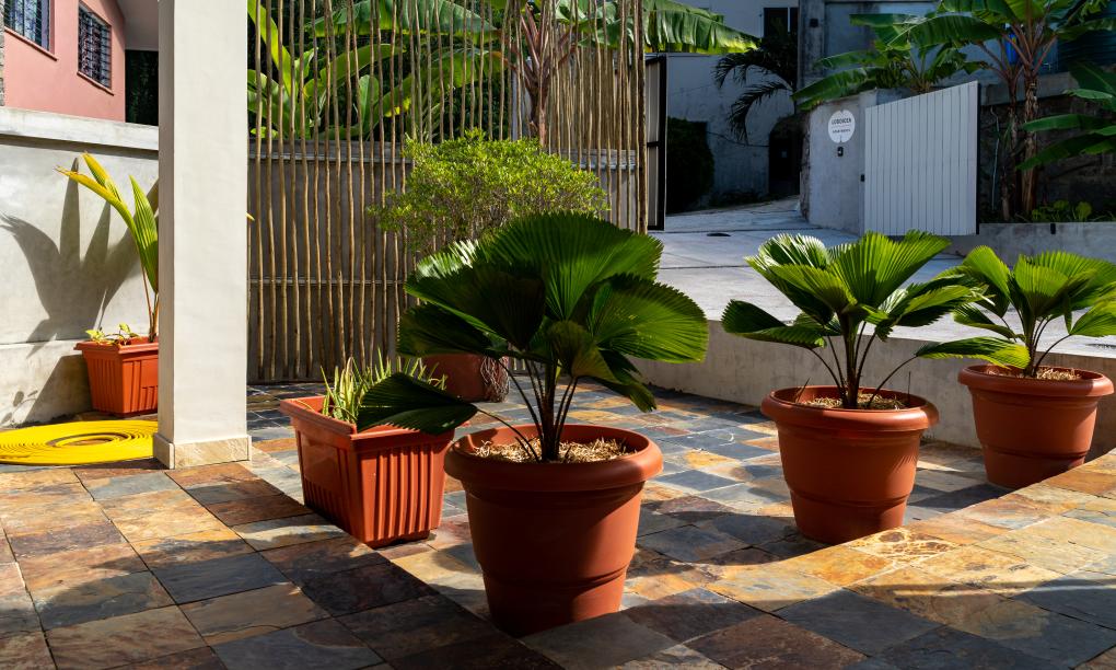 Lodoicea Apartments - Appartement Banann