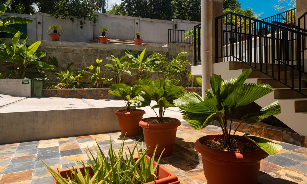 Lodoicea Apartments - Appartement Banann