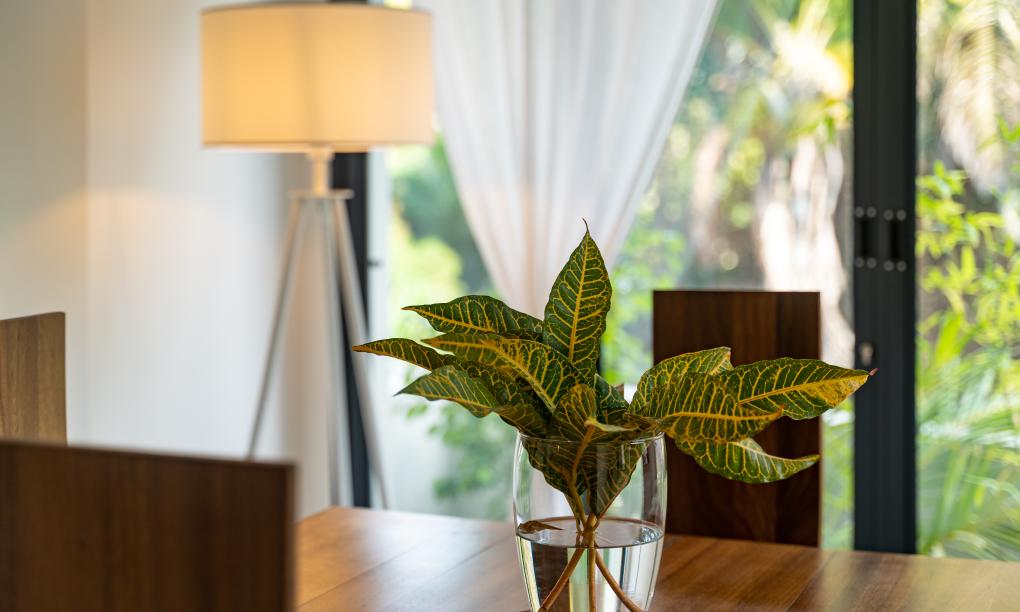 Lodoicea Apartments - Familienappartement Koko