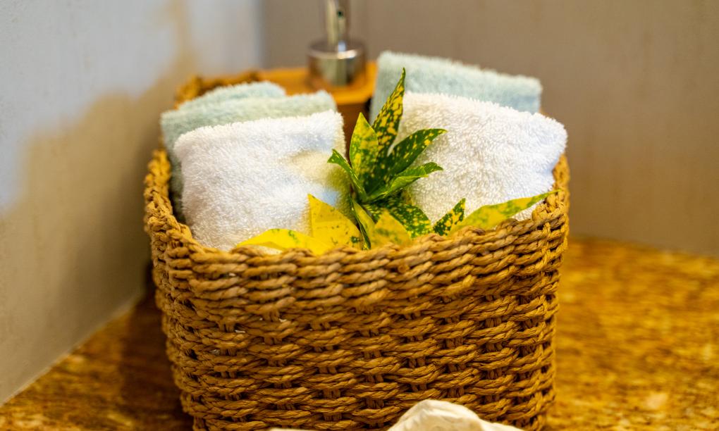 Lodoicea Apartments - Appartment Limon