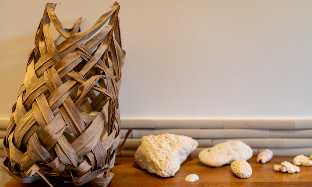 Lodoicea Apartments - Appartment Limon