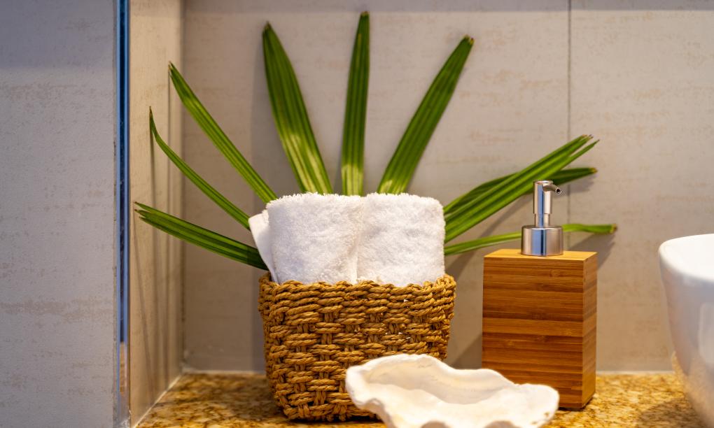 Lodoicea Apartments - Appartement Mang