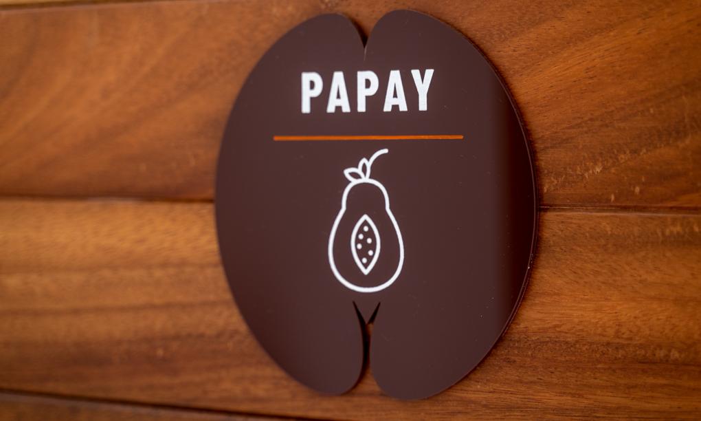 Lodoicea Apartments - Appartement Papay