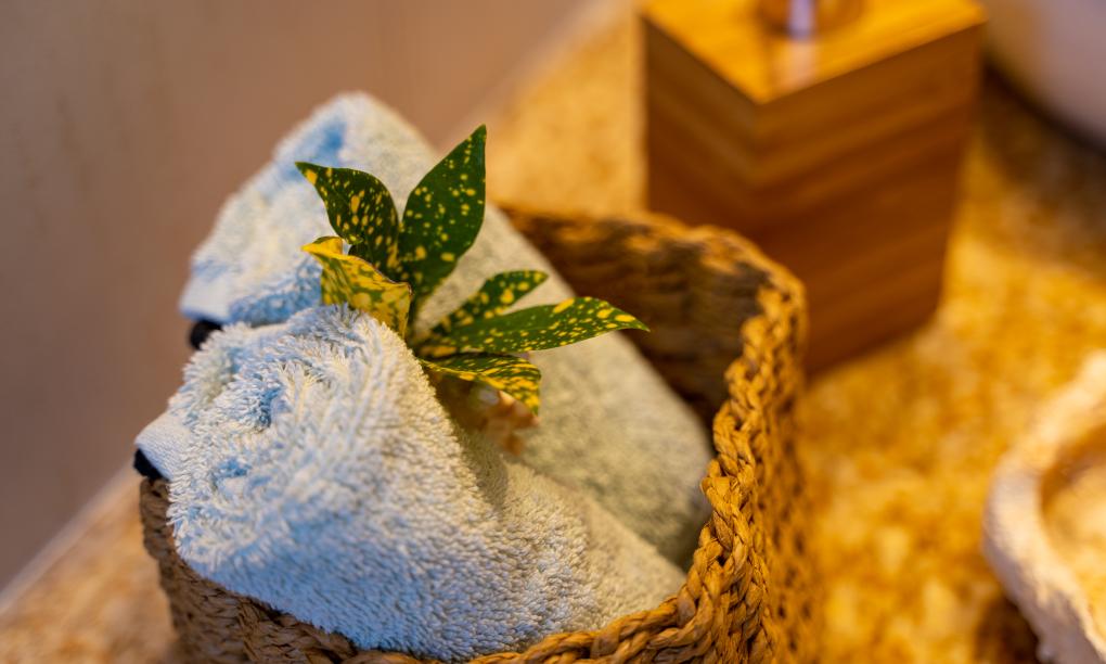 Lodoicea Apartments - Appartement Papay