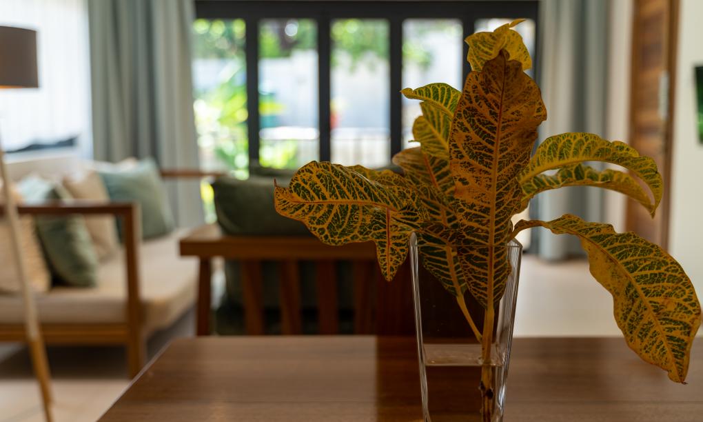 Lodoicea Apartments - Appartement Papay