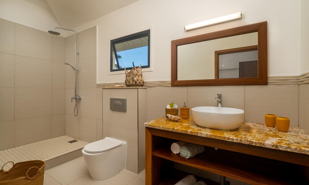 Lodoicea Apartments - Appartement Zavoka