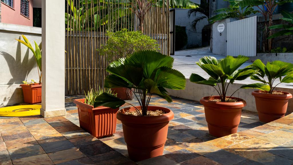 Foto 52: Lodoicea Apartments - Mahé (Seychellen)