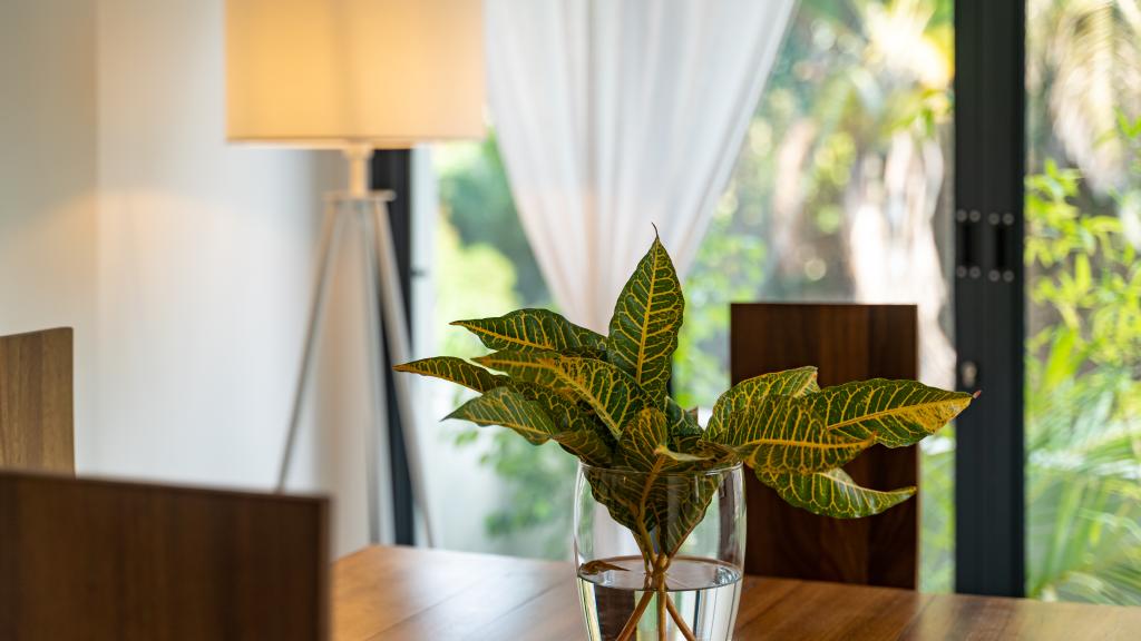 Foto 69: Lodoicea Apartments - Mahé (Seychellen)