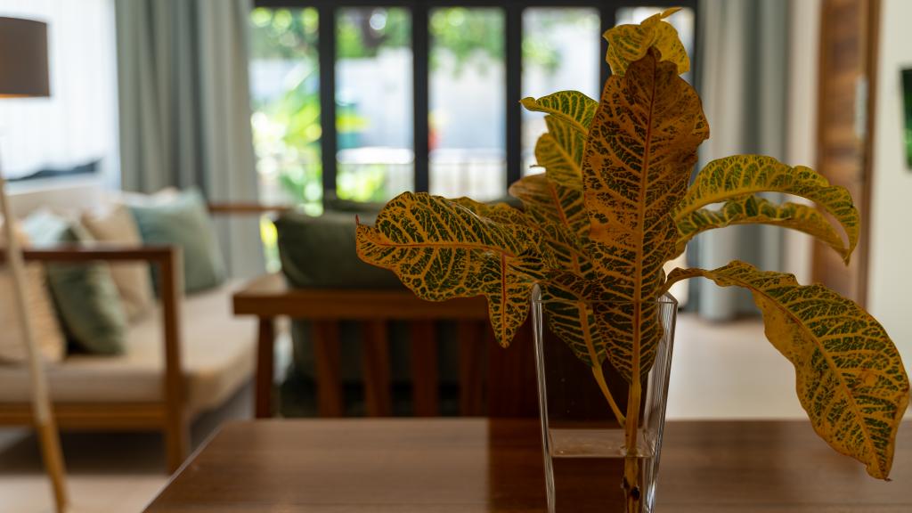 Foto 126: Lodoicea Apartments - Mahé (Seychellen)