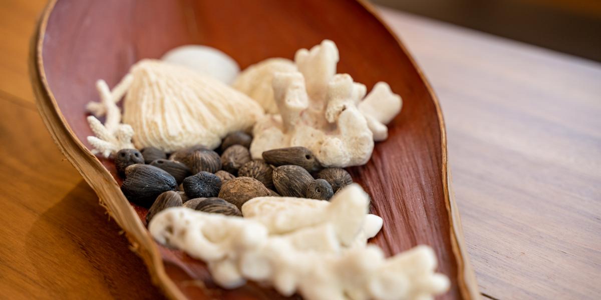 Lodoicea Apartments - Appartement Papay