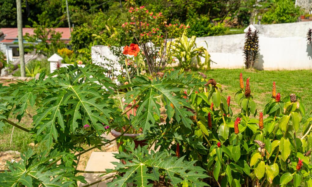 Jbilla Self Catering