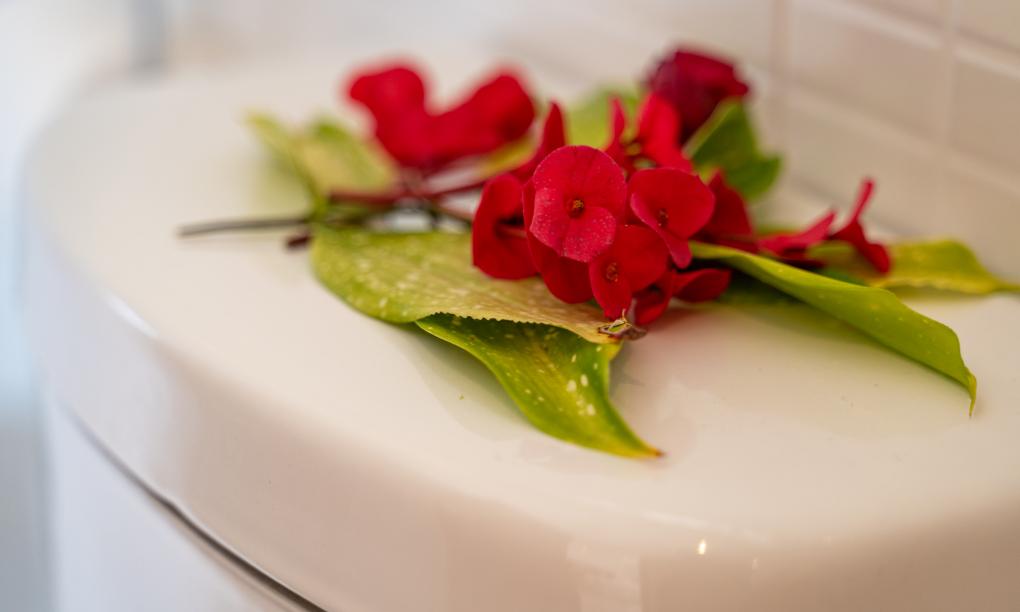 Jbilla Self Catering - 2-Bedroom Apartment