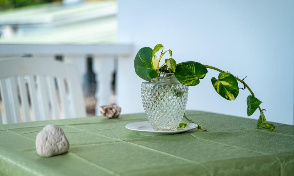 Jbilla Self Catering - 2-Bedroom Apartment