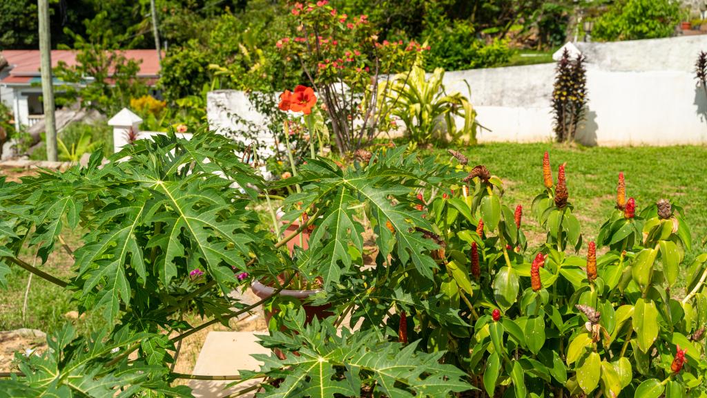 Foto 17: Jbilla Self Catering - Mahé (Seychellen)