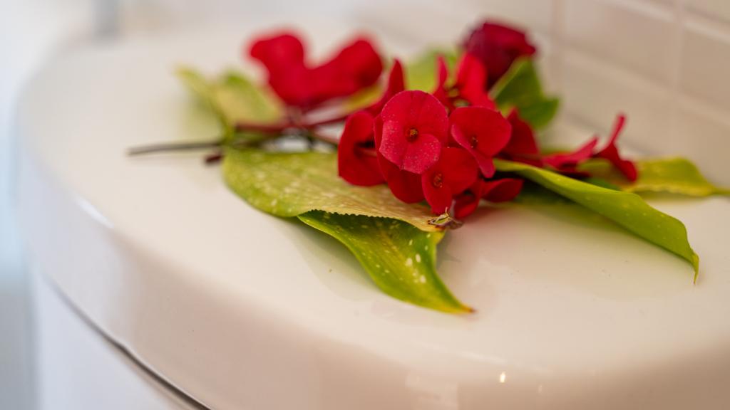 Foto 45: Jbilla Self Catering - Mahé (Seychellen)