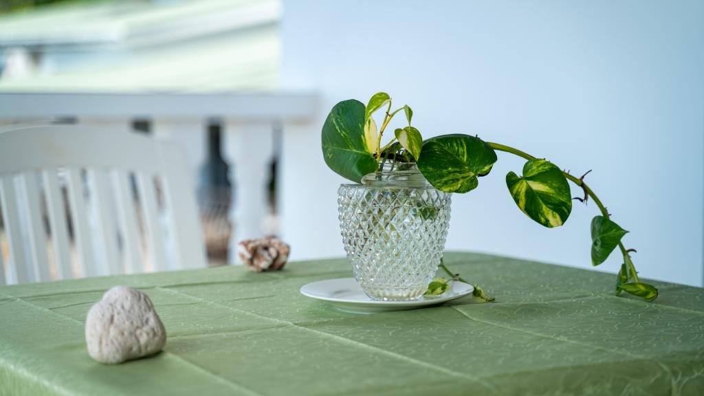 Foto 27: Jbilla Self Catering - Mahé (Seychellen)