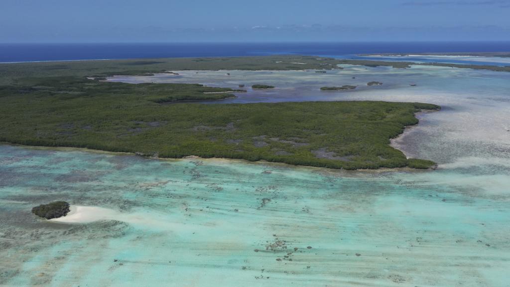 Foto 33: Silhouette Bird Watching Expedition - Seychelles (Seychelles)