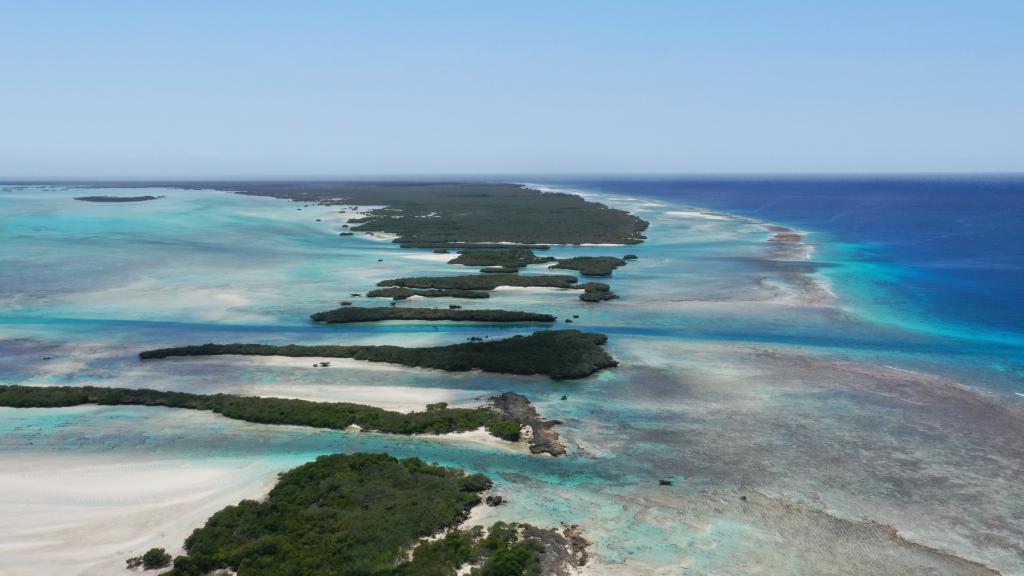 Foto 31: Silhouette Bird Watching Expedition - Seychelles (Seychelles)