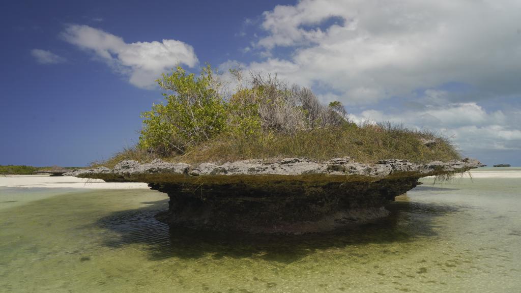 Foto 45: Silhouette Bird Watching Expedition - Seychelles (Seychelles)