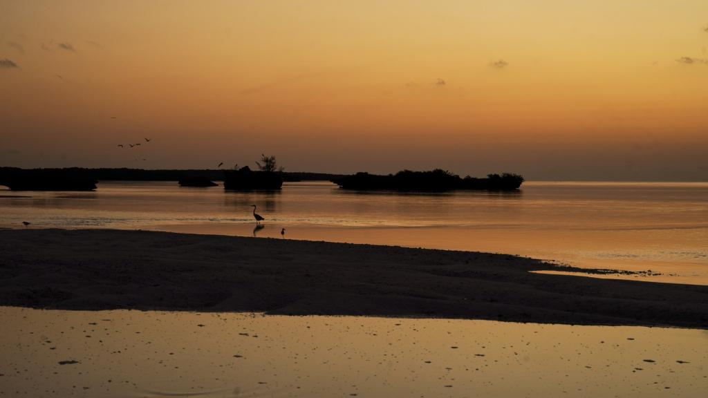 Foto 49: Silhouette Bird Watching Expedition - Seychelles (Seychelles)