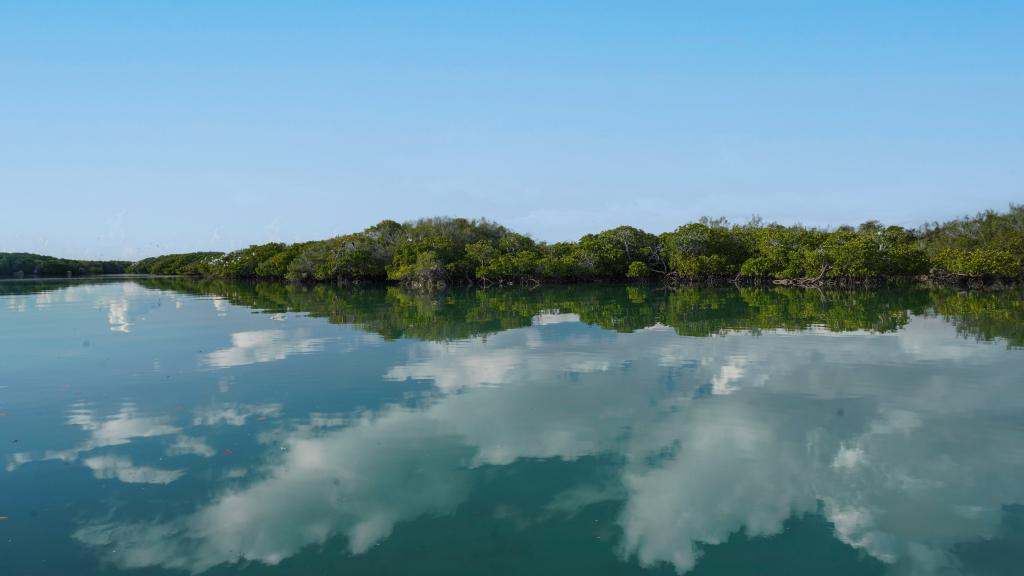 Foto 39: Silhouette Bird Watching Expedition - Seychelles (Seychelles)