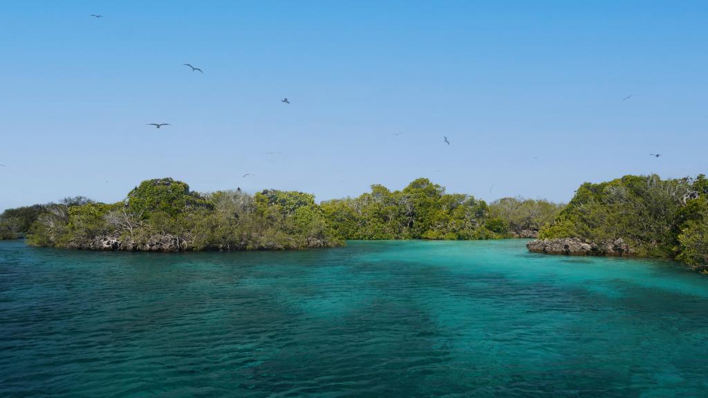 Foto 34: Silhouette Bird Watching Expedition - Seychelles (Seychelles)