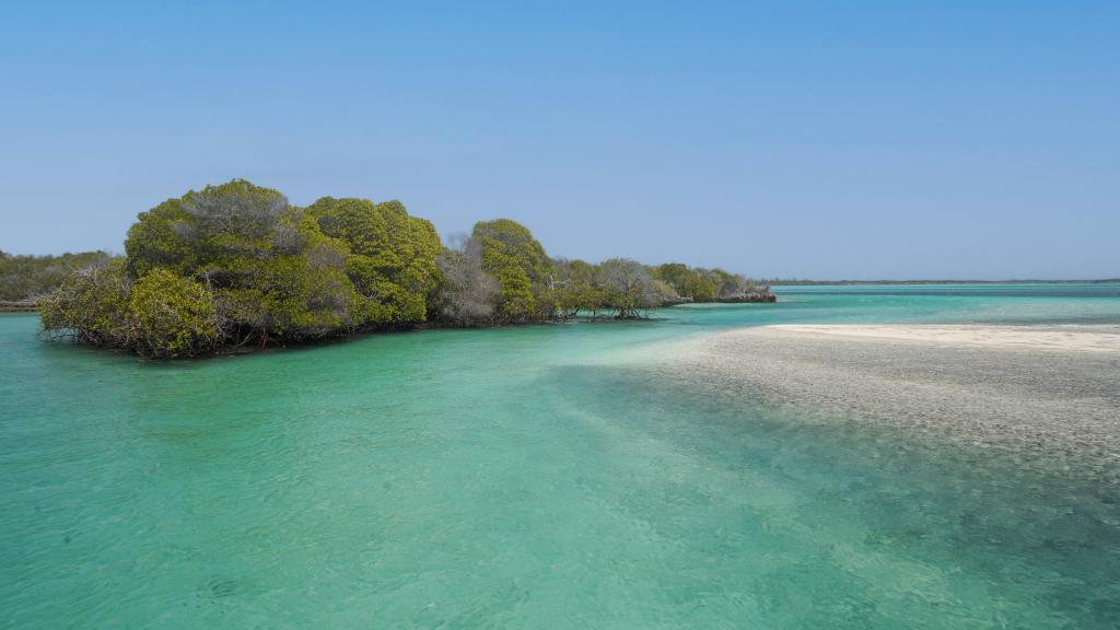 Foto 36: Silhouette Bird Watching Expedition - Seychelles (Seychelles)