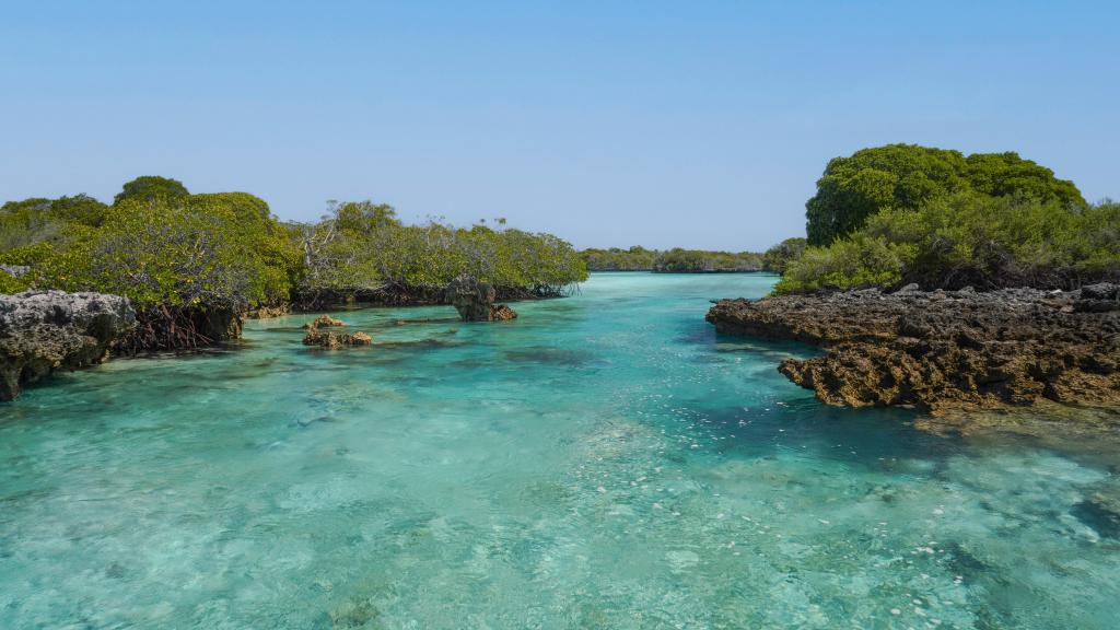 Foto 37: Silhouette Bird Watching Expedition - Seychelles (Seychelles)