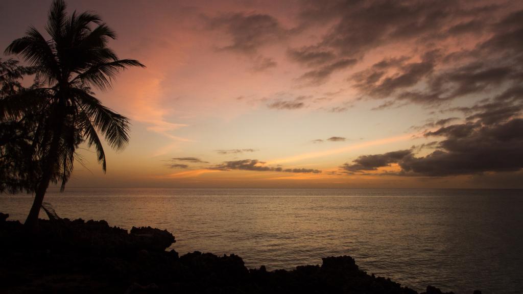 Foto 51: Silhouette Bird Watching Expedition - Seychelles (Seychelles)
