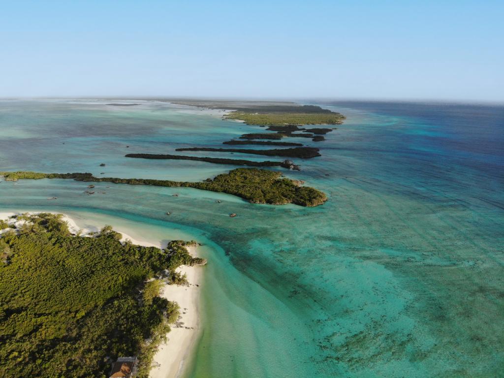 Silhouette Bird Watching Expedition - Photo 2