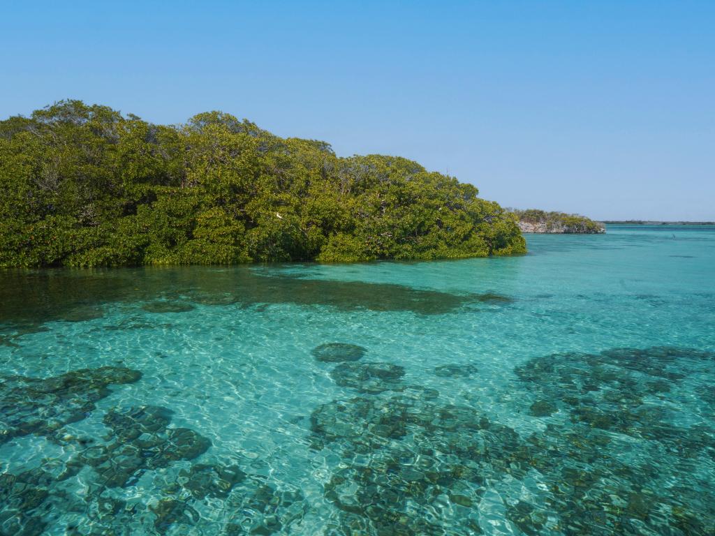 Silhouette Bird Watching Expedition - Photo 6