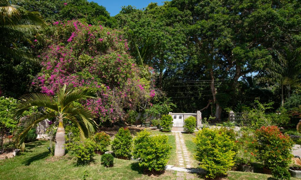 Pension Michel - Villa Roche Bois