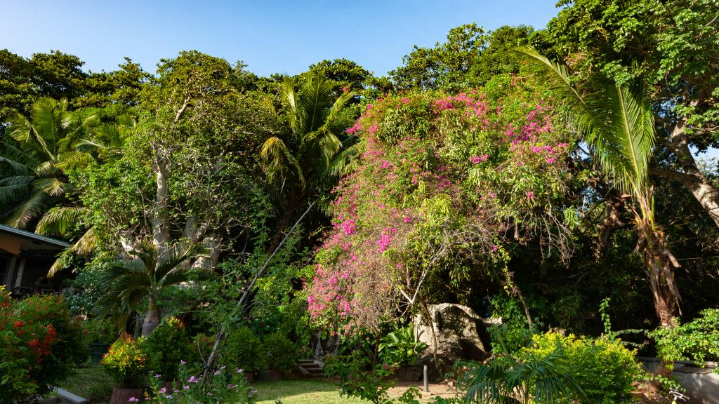 Photo 8: Pension Michel - Villa Roche Bois - La Digue (Seychelles)