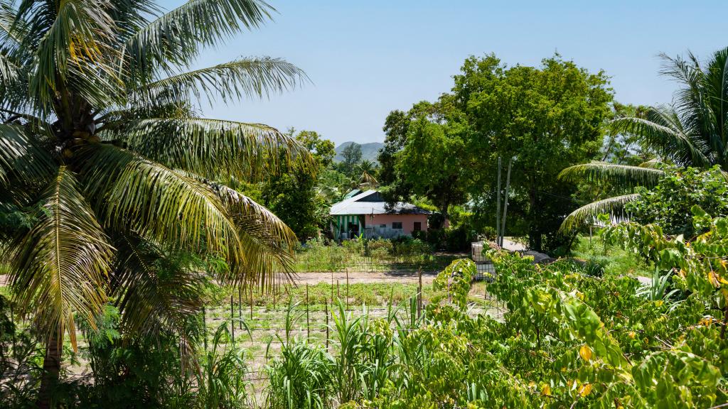 Foto 68: Casadani Luxury Guest House - Praslin (Seychellen)
