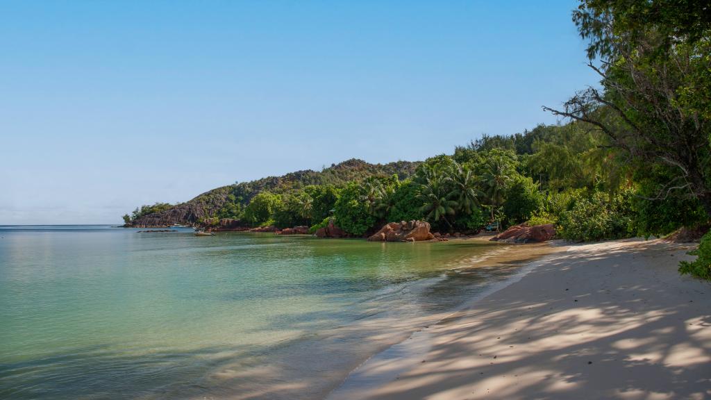 Photo 12: Vinc.Villa - Praslin (Seychelles)