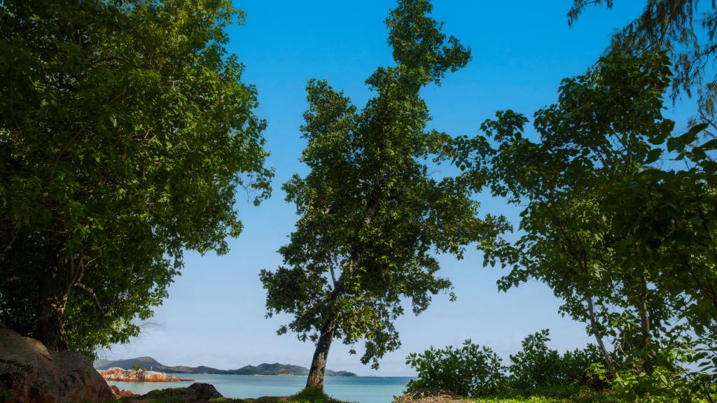 Foto 9: Vinc.Villa - Praslin (Seychelles)