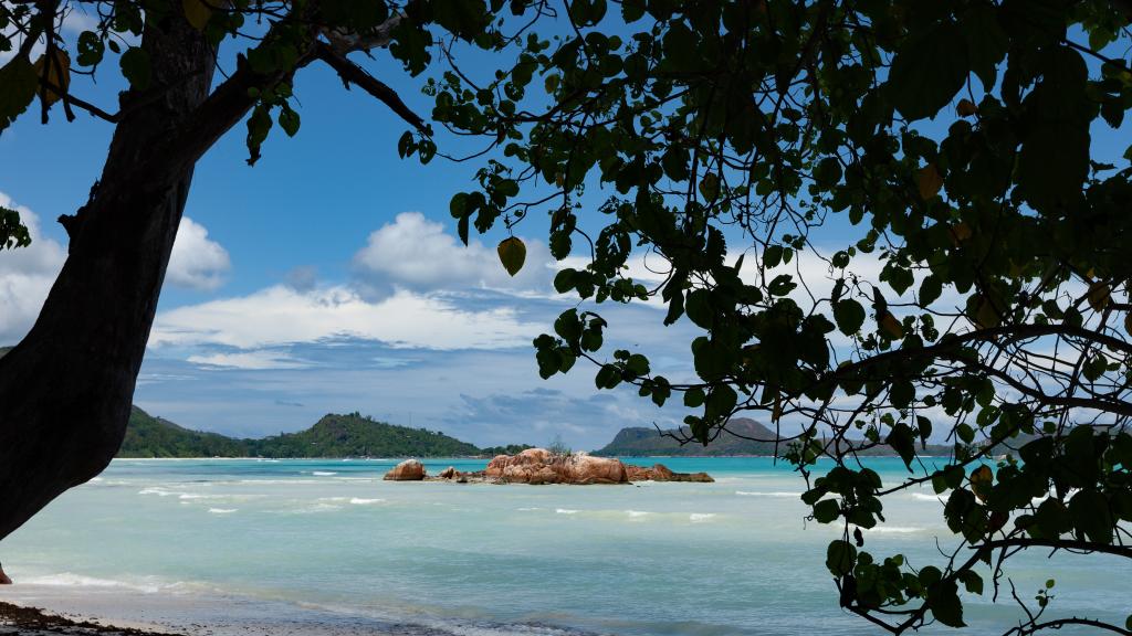 Photo 10: Vinc.Villa - Praslin (Seychelles)
